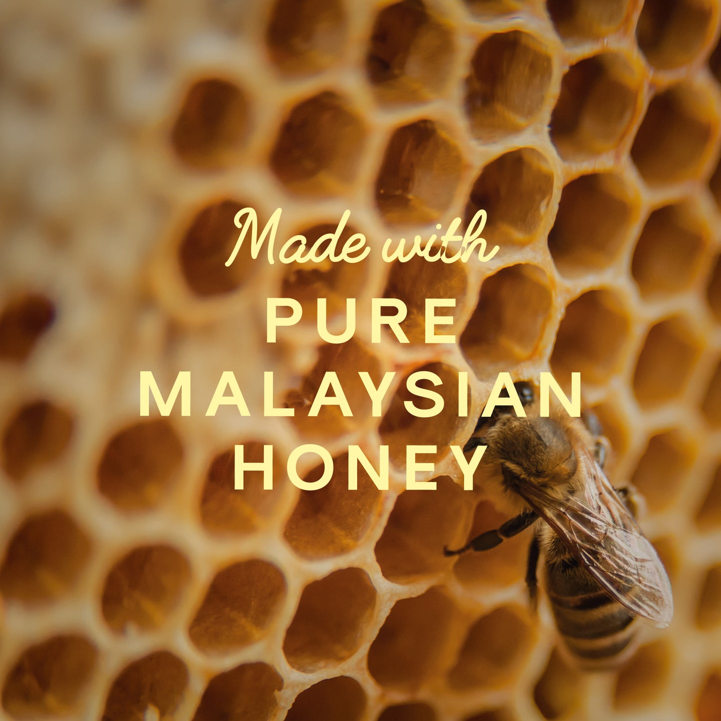 Honey Mix Pack