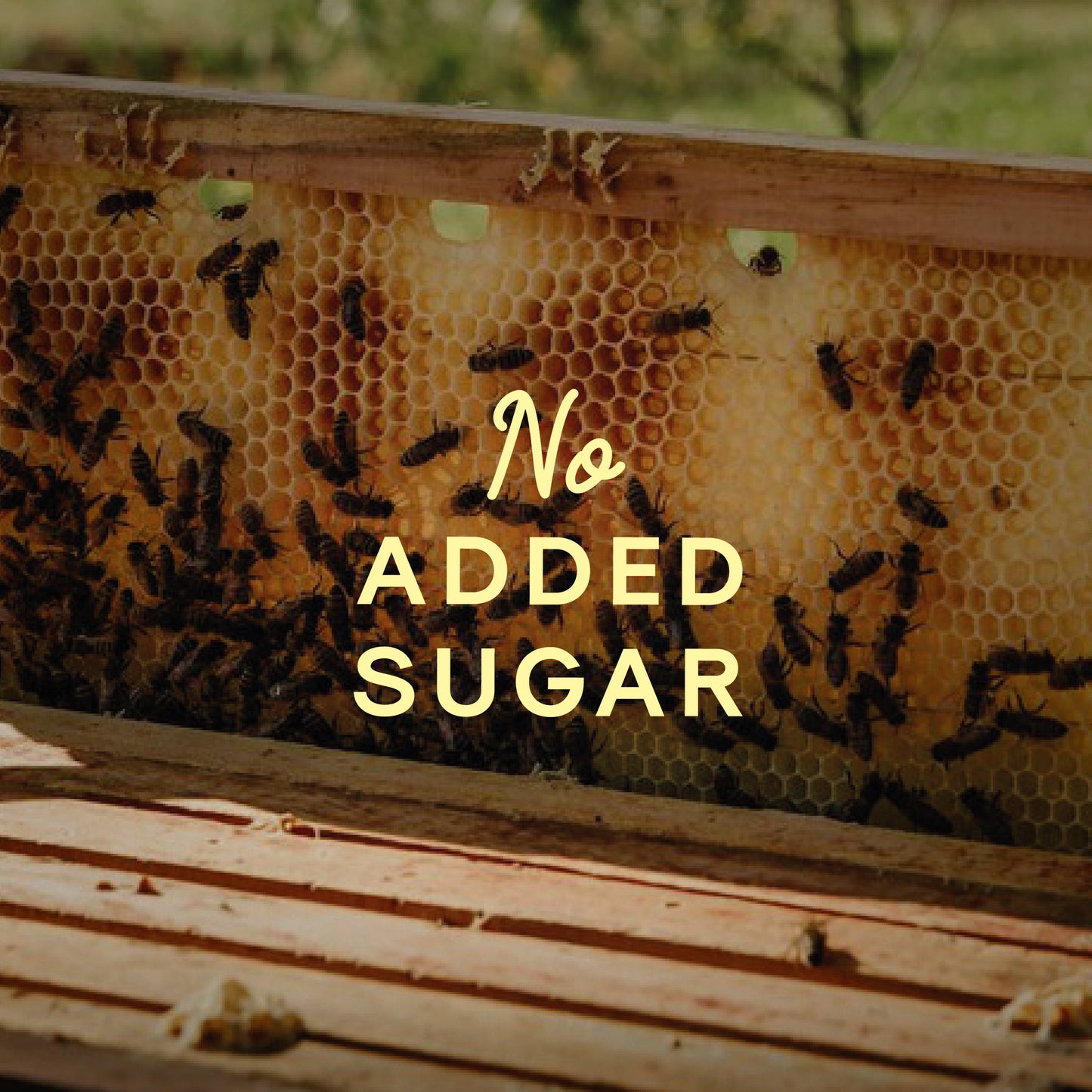 Honey Mix Pack
