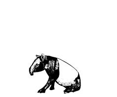 The Tapping Tapir Sdn Bhd
