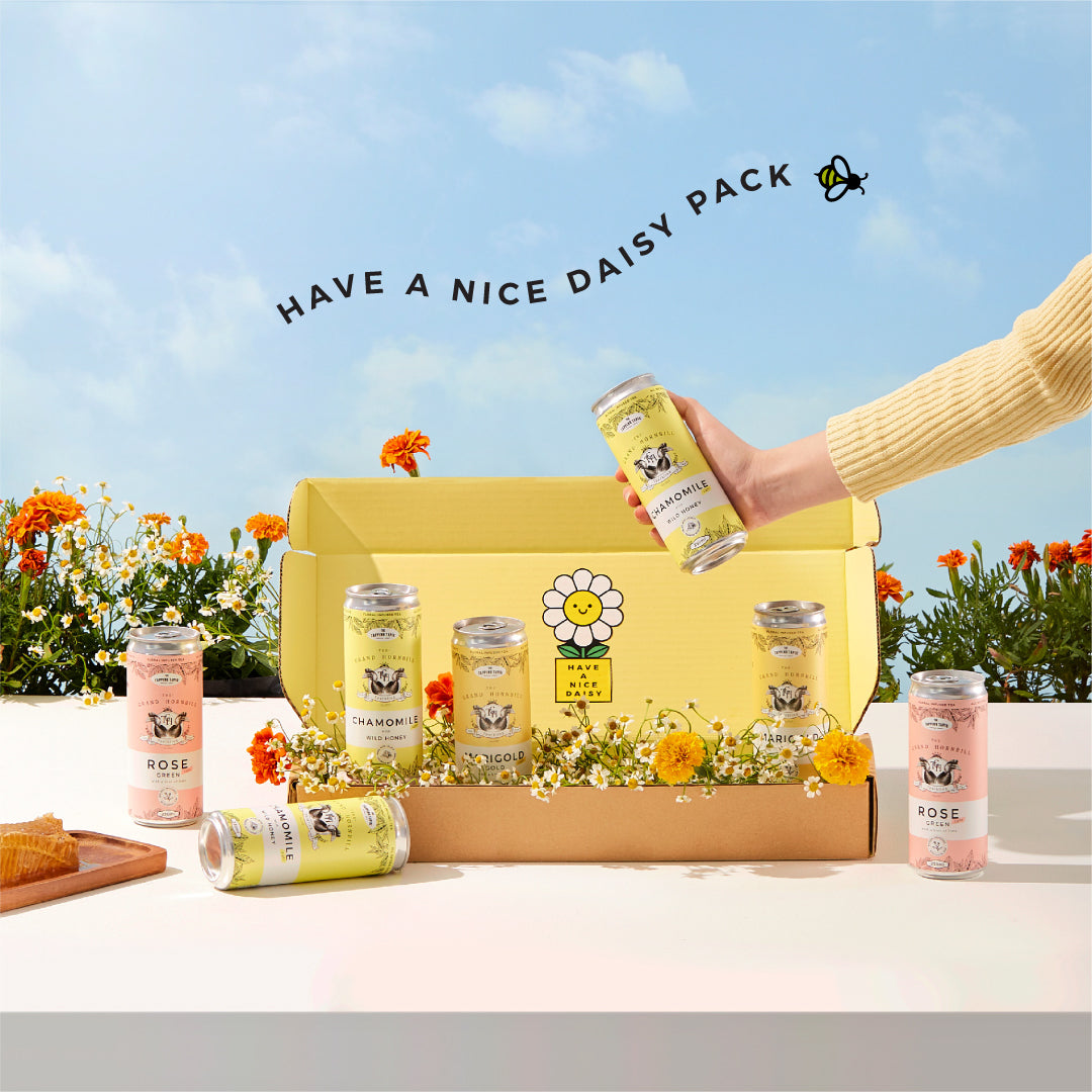 Have A Nice Daisy 🌼