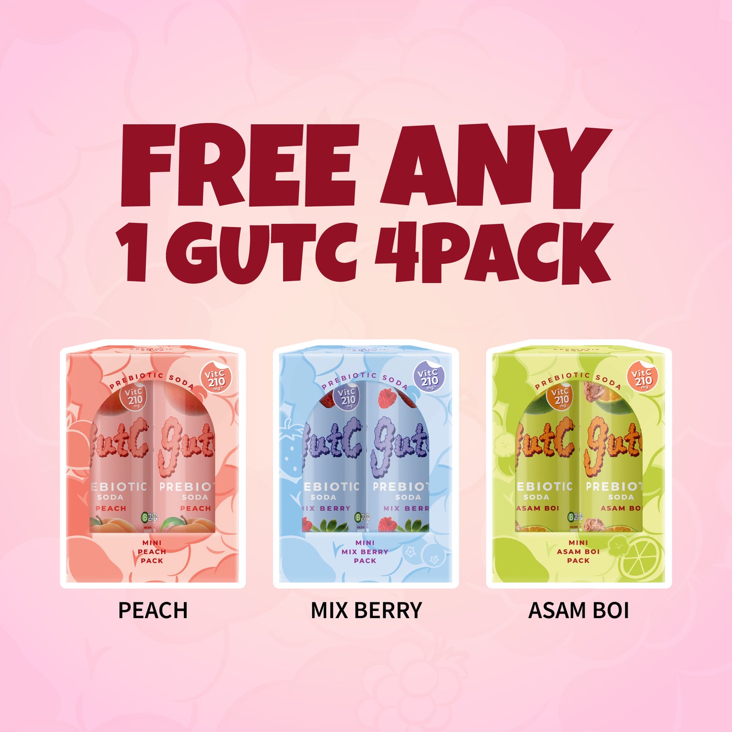 GutC Mini Pack
