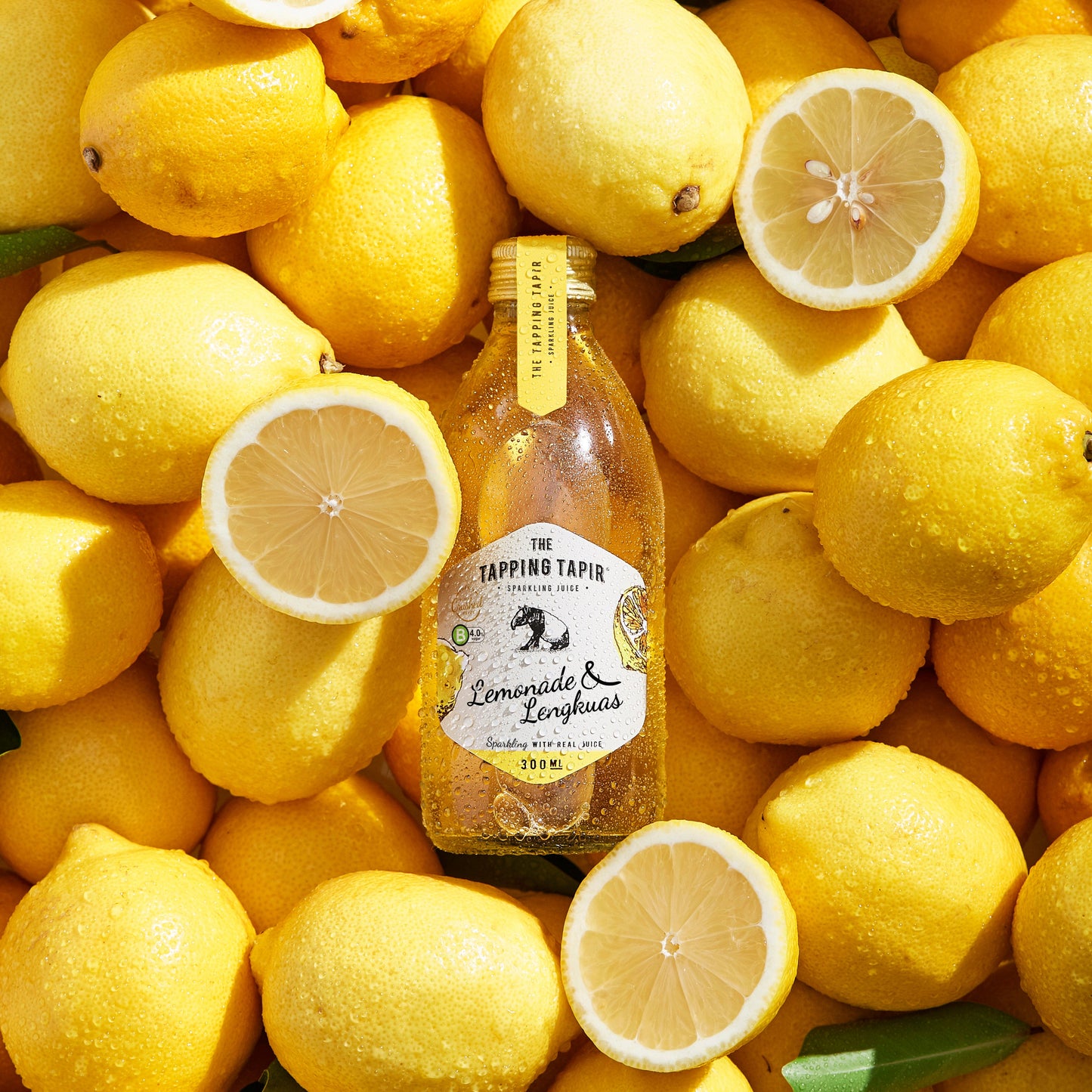Lemonade & Lengkuas